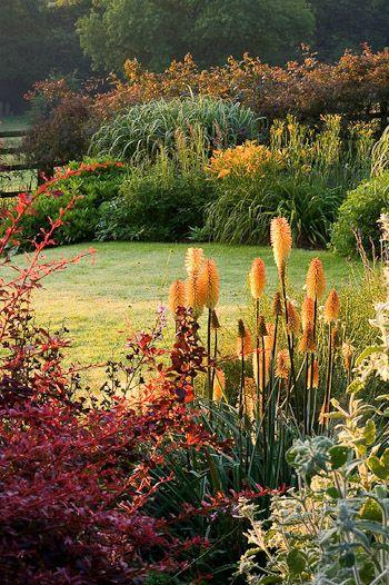 hot to take care pf garden during autumn