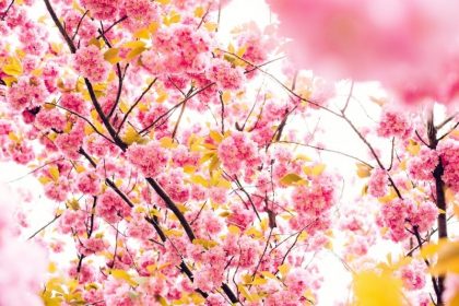 Start the Year Fresh with These 6 Nifty Spring Cleaning Tips Start the Year Fresh with These 6 Nifty Spring Cleaning Tips