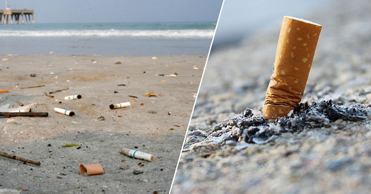 cigarette_butts_thumb_