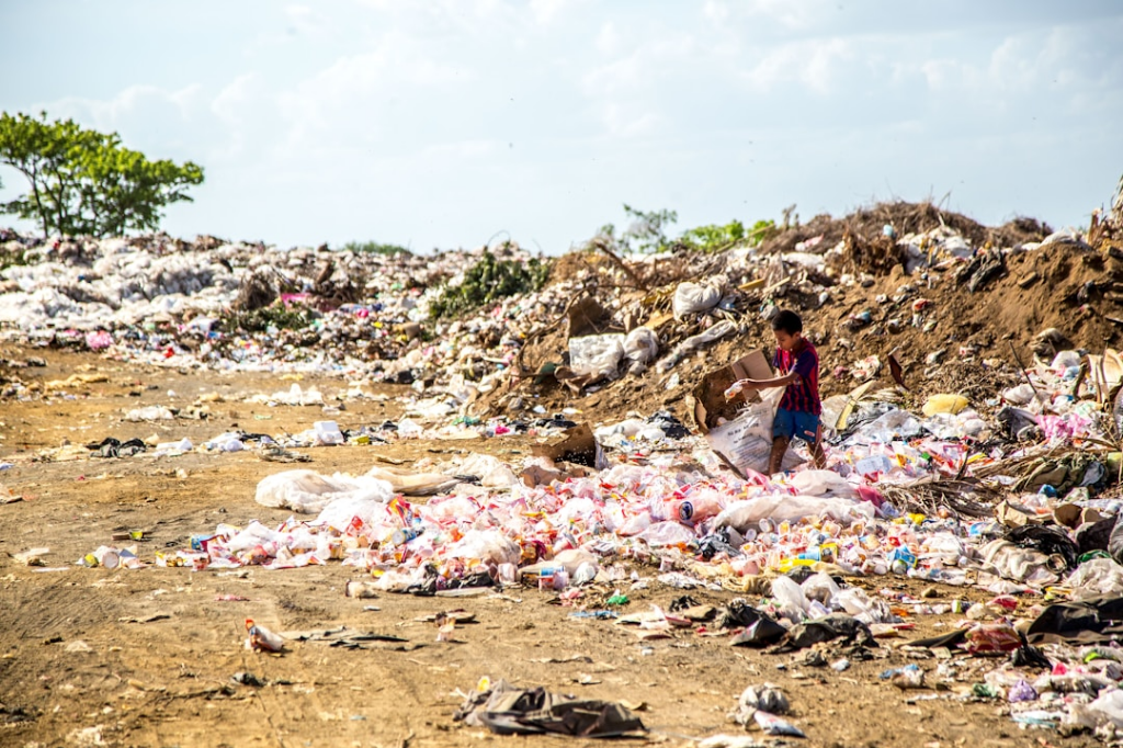 How Waste Removal Changing