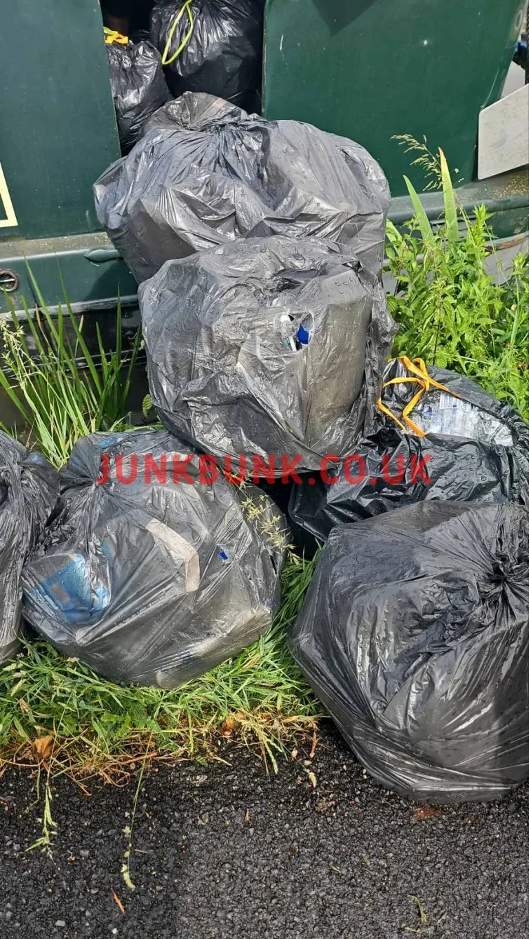 CM19-garden-waste-removal-before1