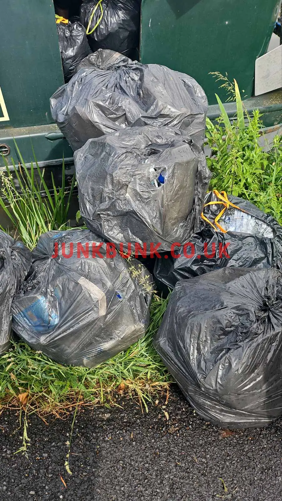 CM19-garden-waste-removal-before1