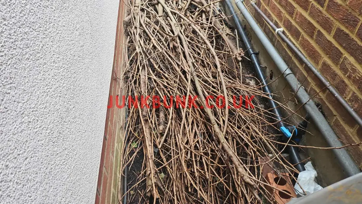 UB1 3AP-garden-waste-clearance-bofore3